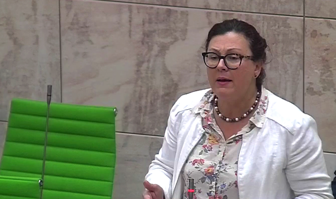 Marlene Farrugia sets up the Democratic Party TVMnews.mt