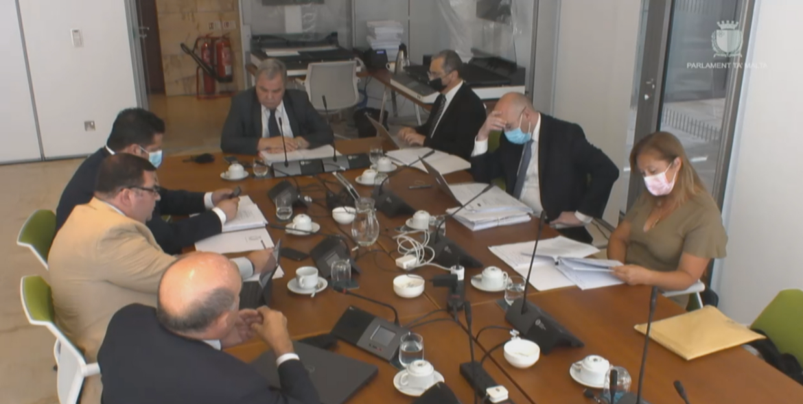 Dr Hyzler explains conclusions of report on Rosianne Cutajar