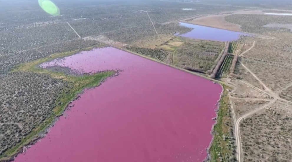 Pink Pollution Watch: Lake in pink colour in Argentina due to pollution - TVMnews.mt