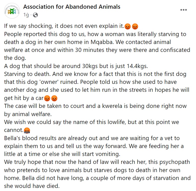 WATCH: Woman to be arraigned in Court for starving her dog - TVMnews.mt