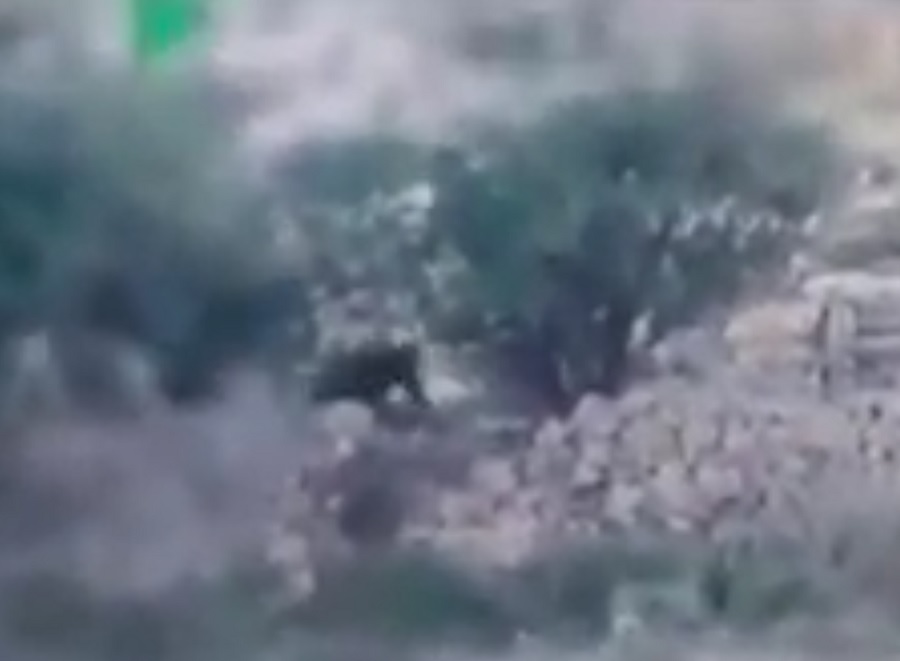 Watch: Man tries to flee Police after being caught using ‘bird caller