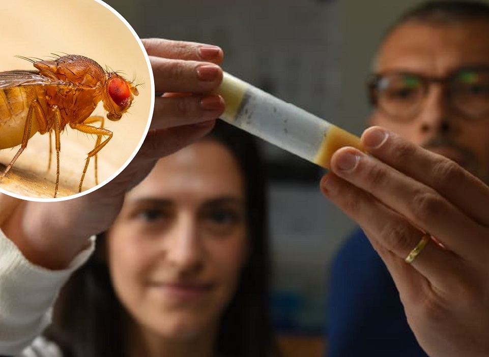 Maltese researchers discover new therapy treatment for ALS patients