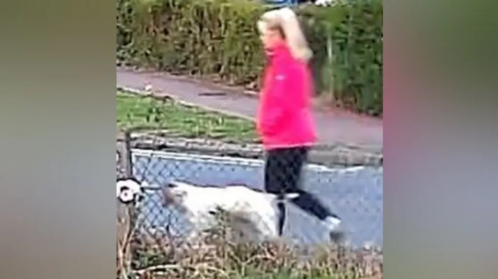 In England: Man arrested for attempted homicide of woman walking her ...