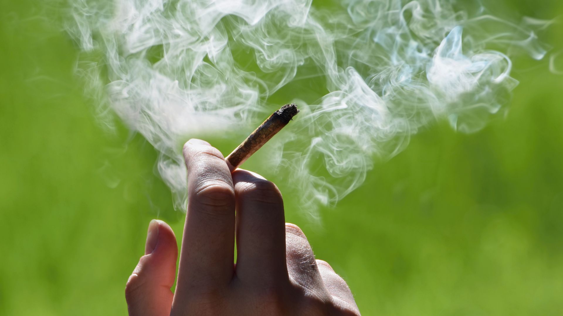 tobacco deaths per year worldwide Tobacco Use Worldwide: Legislative Efforts to Curb Consumption
