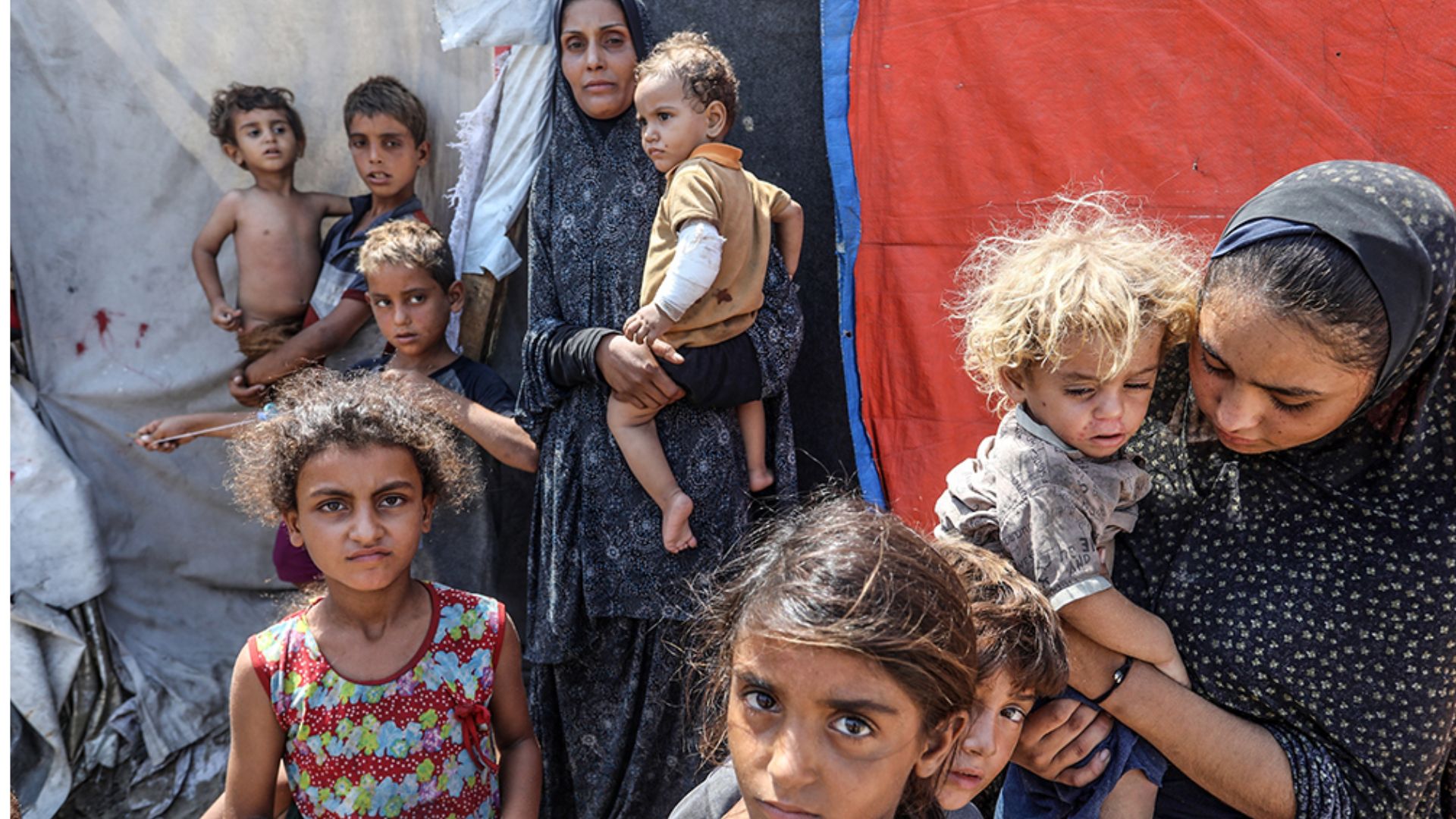 Maltese people donate €228,600 to support Gaza relief efforts - TVMnews.mt