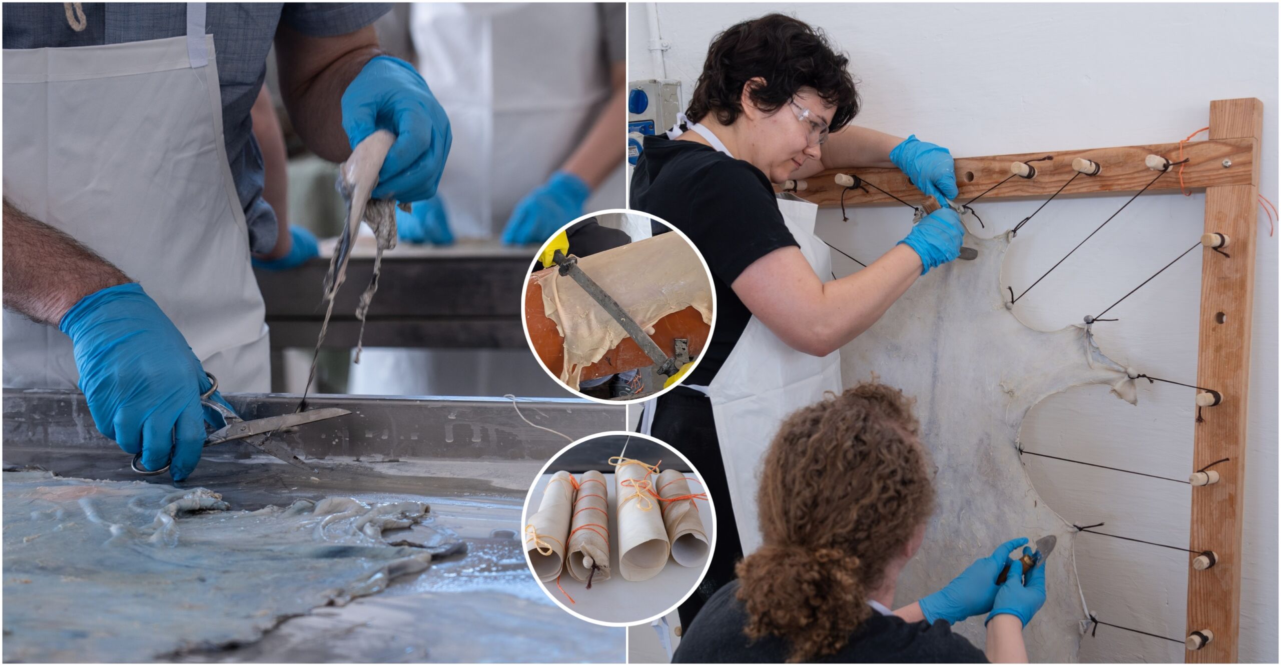 Parchment Making Process Sheepskins and goatskins used in parchment production - TVMnews.mt