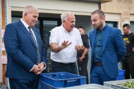 Alex Agius Saliba again elected as Social and Democrats' Vice President ...